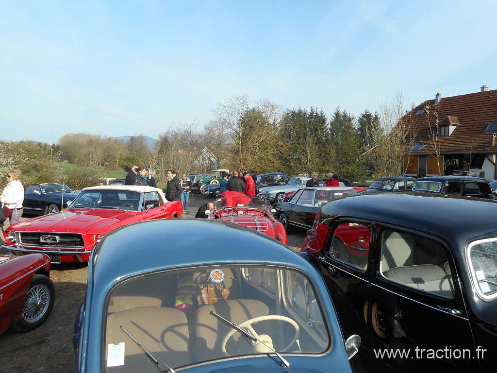 2016_Rodagea (14).JPG - 10/04/2016 - 68116 GUEWENHEIM - La Ferme au Cheval